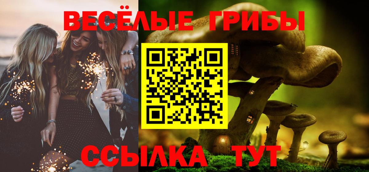 Псилоцибиновые грибы Psilocybe Тайшет