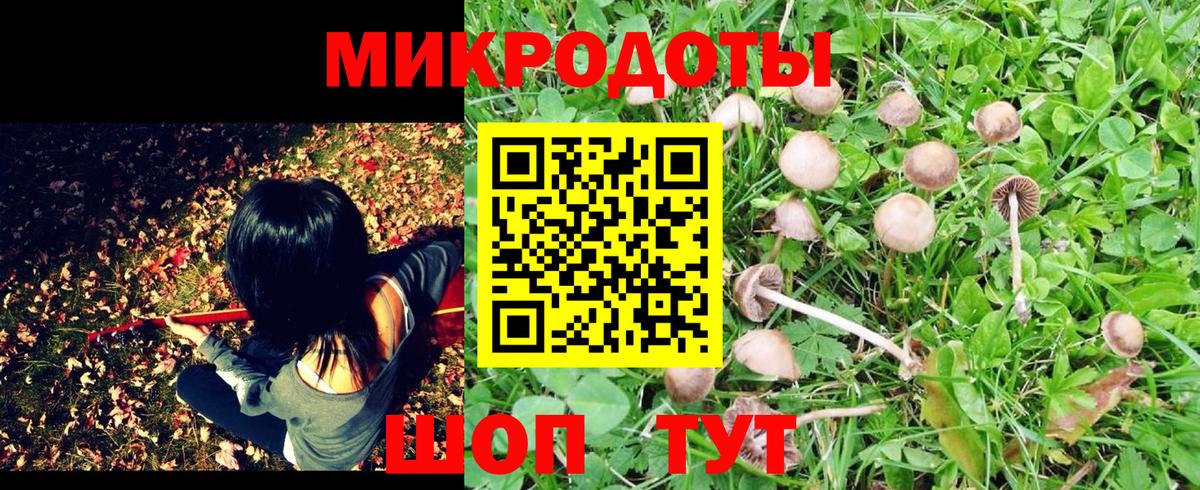 Галлюциногенные грибы мицелий  Вход с VPN  Тайшет 